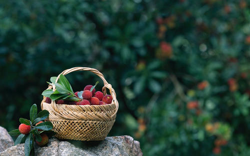 在句子中不开心和假装开心2