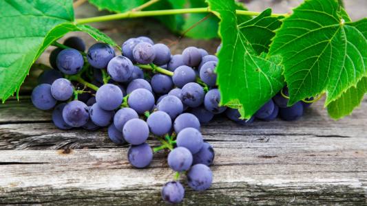 如果你感到幸福,句子的情绪就会很好。只要您快乐地生活,生活就是美好的。 1个