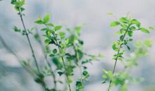 适合立冬发的朋友圈句子