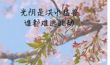 干净朋友圈句子