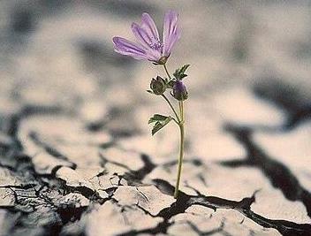 用来描述幸福的句子和单词用来描述幸福的好的单词,好的句子,好的段落