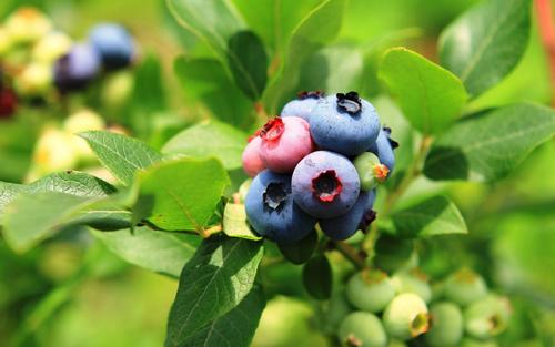 快乐和悲伤的句子快乐和悲伤的句子2