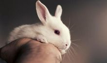 形容没有亲情的句子 亲情关系淡薄经典语录