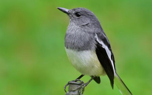 因家庭之爱而悲伤的句子，谈论情绪，谈论家庭之爱，悲伤和悲伤1