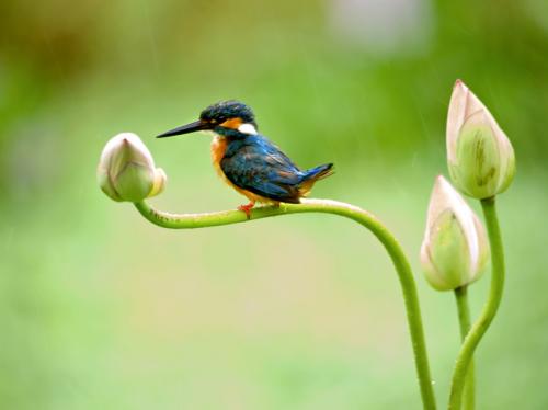 描述家庭冷静的句子