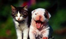 关于亲情诚信的句子 对亲人失望看透的句子