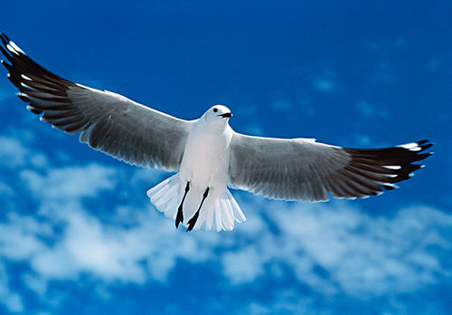 描述家庭冷静的句子