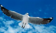 形容亲情凉薄世态炎凉的句子 亲情让我心寒的句子