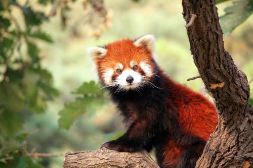 赞美家庭之爱的句子赞美家庭之爱的美丽句子2