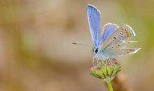 形容亲情淡薄的文言文句子 表达对亲情失望的诗