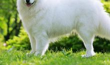 适合发抖音的亲情句子 抖音说说短语亲情