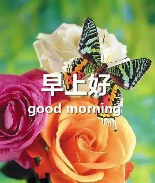 用8个简短的词表达友谊问候