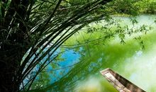 夏天的诗句古诗大全