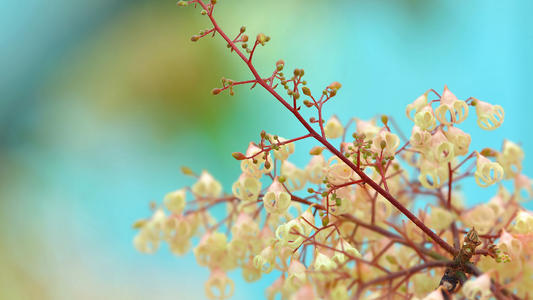 句子在工作中很忙但是很开心