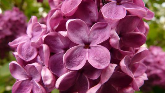 忙碌而快乐的句子如何表达忙碌和快乐1