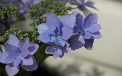 老师和孩子们的快乐句子老师和孩子们的快乐句子