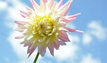 劝说别人开心面对人生的句子 劝一个人开心的说说