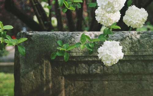 描述快乐表情的句子如何描述快乐表情1