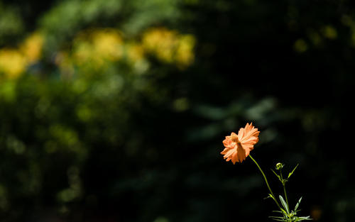 与儿童度过快乐的一天的句子，与儿童度过快乐的话题，谈论情绪1