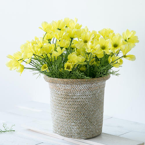 快乐和美丽的句子谈论情绪,谈论快乐的句子谈论情绪和短语1