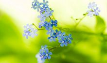 开心快乐的句子说说心情短语 简短开心的朋友圈说说