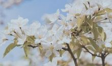 考试考好了开心的句子 考完试的心情的句子