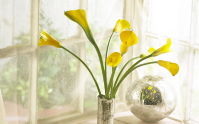 忘记不开心的句子忘记过去的不开心句子