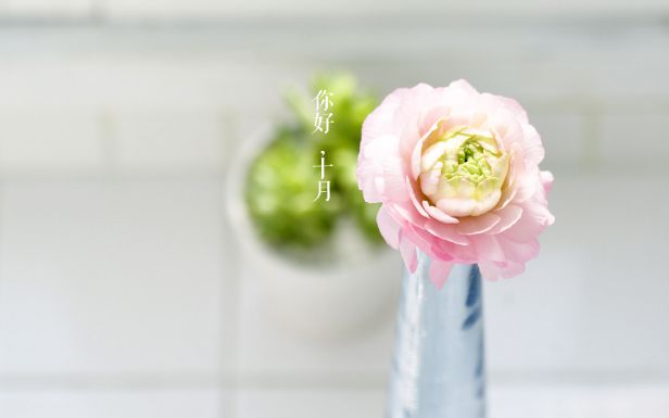 十月您好，谈论美丽的文字并将其发送给Moments 1