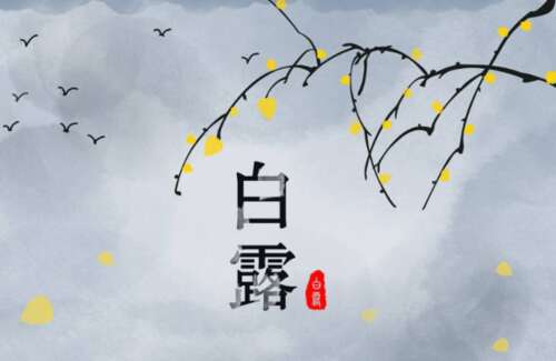 白鹿节气美福大全