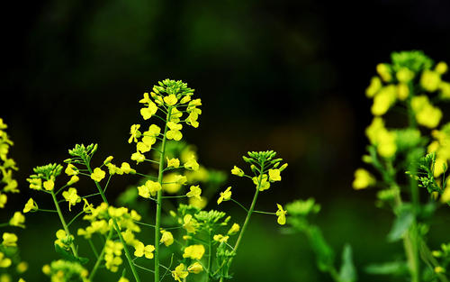 我不快乐的句子我难过和悲伤的句子2