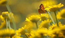 一个不开心的人心情的句子 发表不开心的心情句子