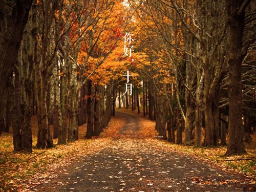 十月，请好一点。谈话，句子1