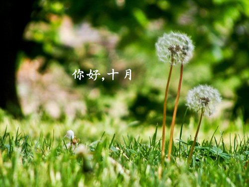 十月对我好一点，说话和句子