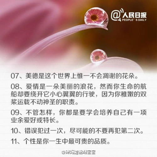 受伤女人的座右铭