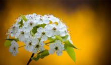 开心乐逍遥的句子 每天快乐乐逍遥的句子