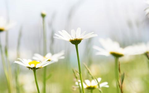 愿你每天快乐的句子愿你每天快乐的句子2