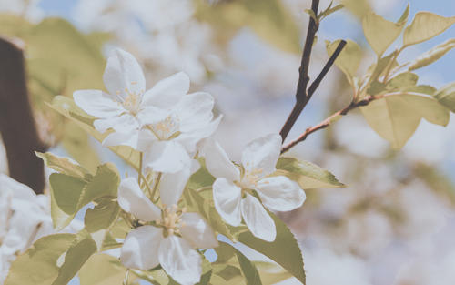愿你每天快乐的句子愿你每天快乐的句子