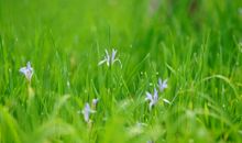 夏天很开心的句子 夏天的心情唯美句子