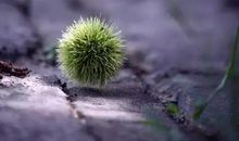 微信朋友圈有深度的句子