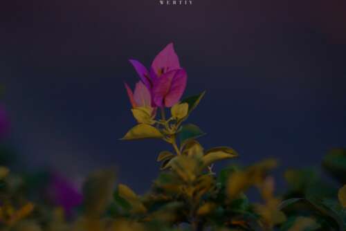 特别现实的讽刺句子