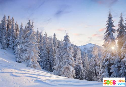 描述冬天的环境