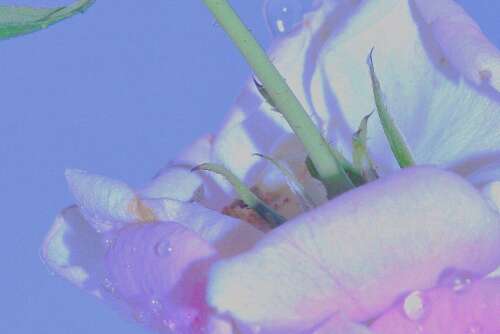 下雨天的经典情绪句子2