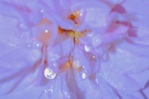 下雨天的经典情绪句子