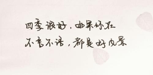 对我妻子的简短爱语