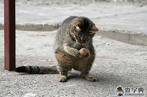 哄骗女友的著名句子