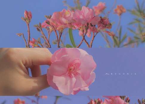 那些20岁的孩子不相信30岁的孩子，但相信真理1