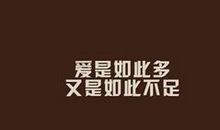 诗意浪漫爱情句子