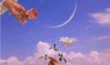 抖音最火温柔神仙文案句子