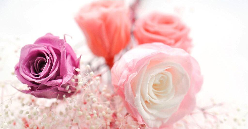 父母对老师的感谢之言简短,对老师们辛勤工作和责任感的感谢之言1