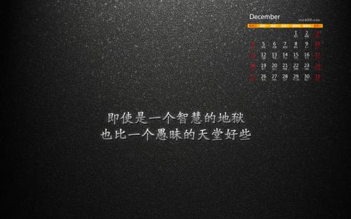 每天一份灵鸡汤